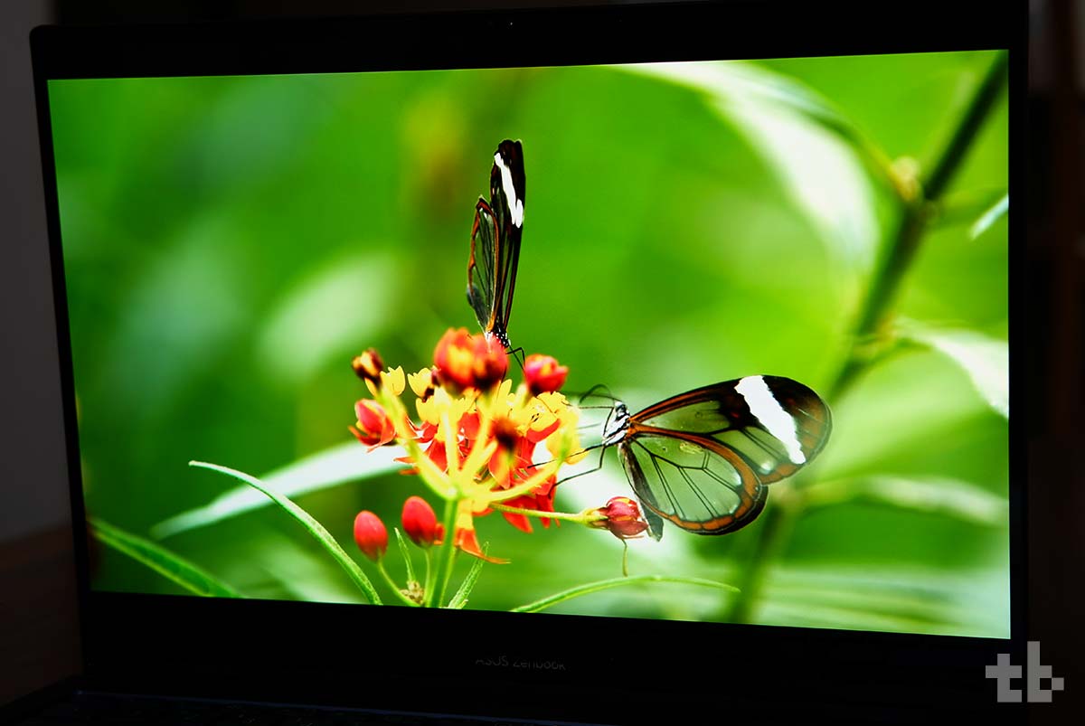 ASUS Zenbook 14 Flip OLED (UP3404) Display