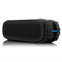 BRV-X