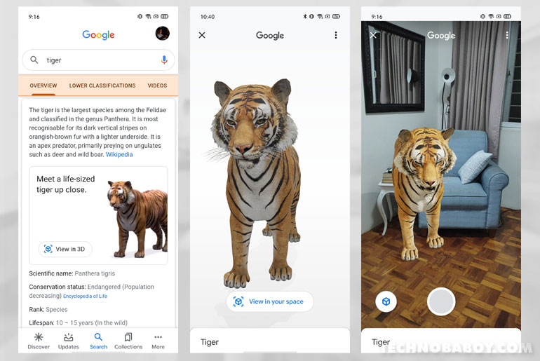 Google 3D Animals