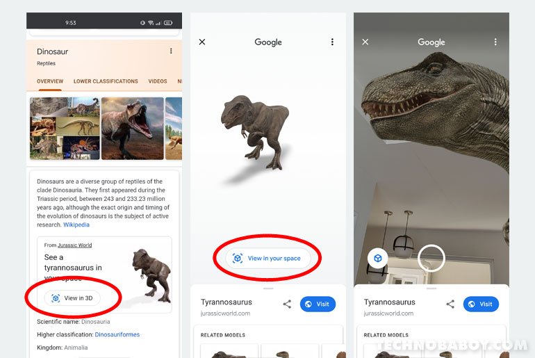 Google Search 3D AR animals