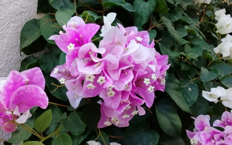 honor pad x8b sample photo