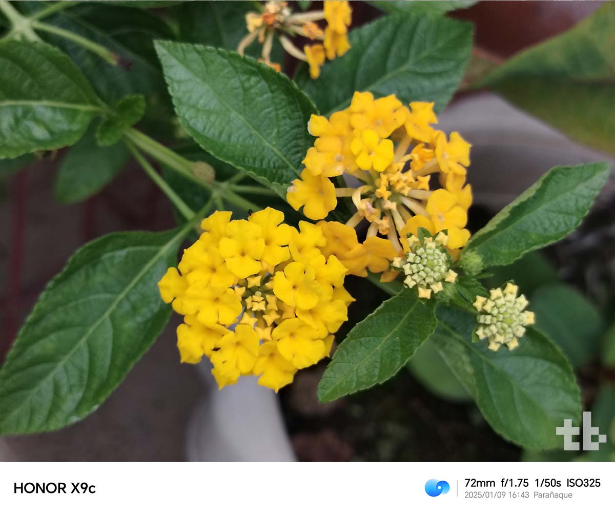 HONOR X9c 5G test photos