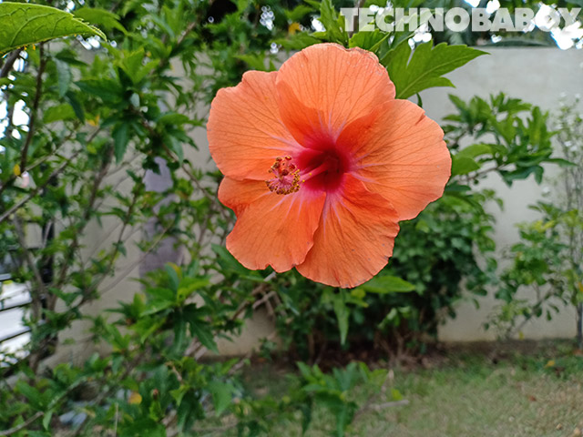 oppo f7 philippines review