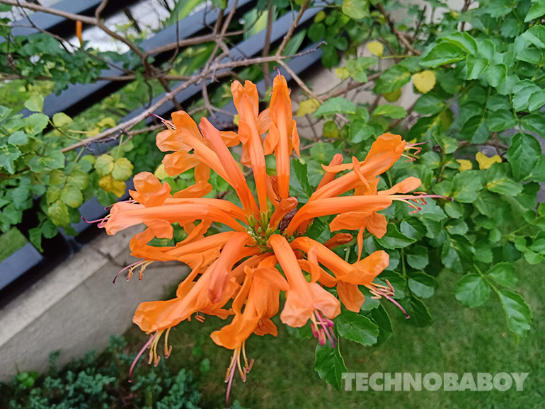 oppo f9 review camera