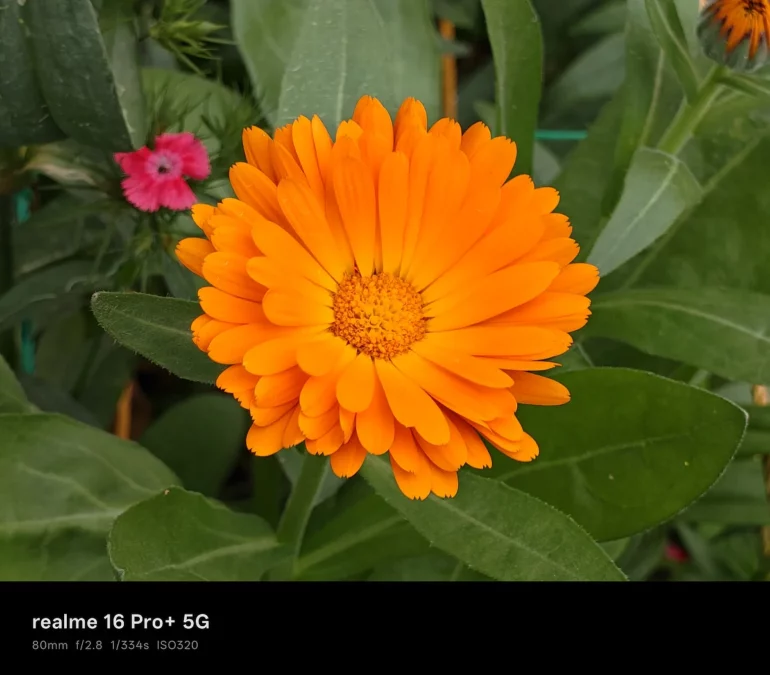realme 16 pro+ 5g sample photos