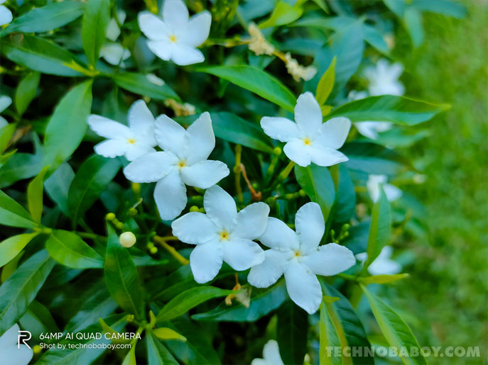 realme X3 SuperZoom Camera Review