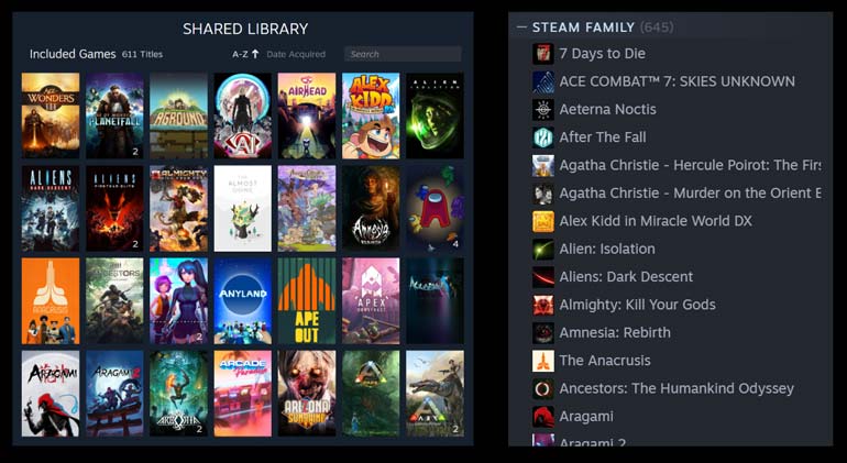 Steam Families Shared Games