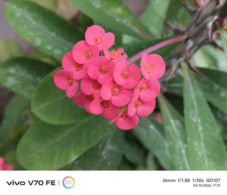 vivo V70 fe test photo