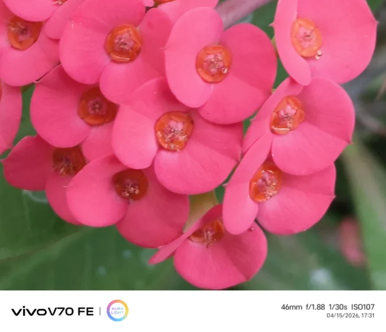 vivo V70 fe test photo