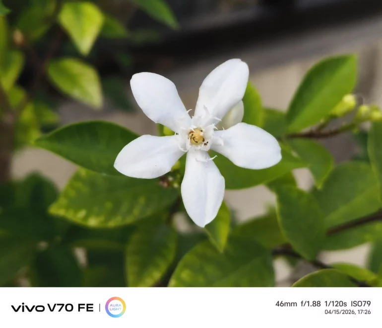 vivo V70 fe test photo